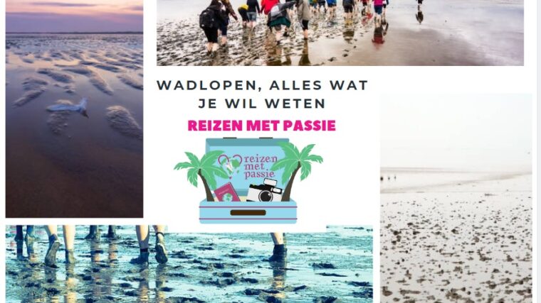 Wadlopen