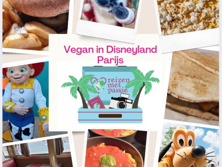 vegan in Disney